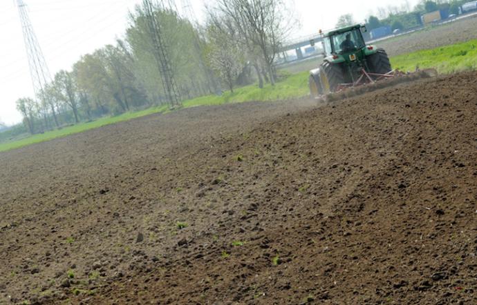 Giovani tornano a lavorare nei campi: Sicilia al primo posto